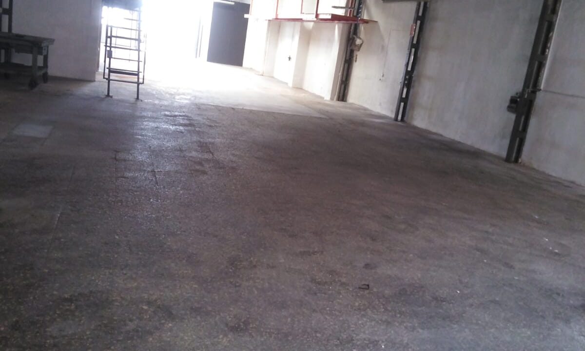 WhatsApp Image 2025-10-27 at 08.41.09 (1)