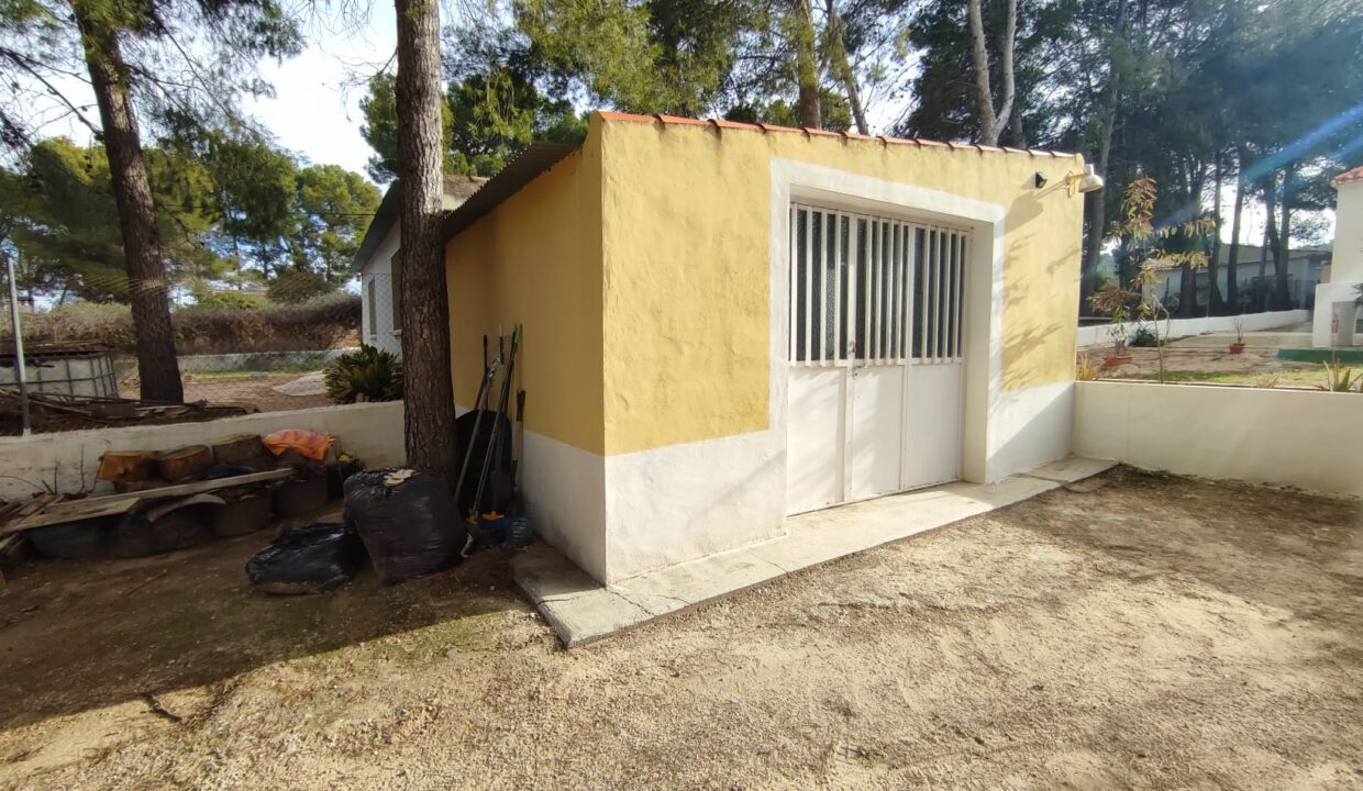 WhatsApp Image 2026-01-14 at 12.02.03 (1)