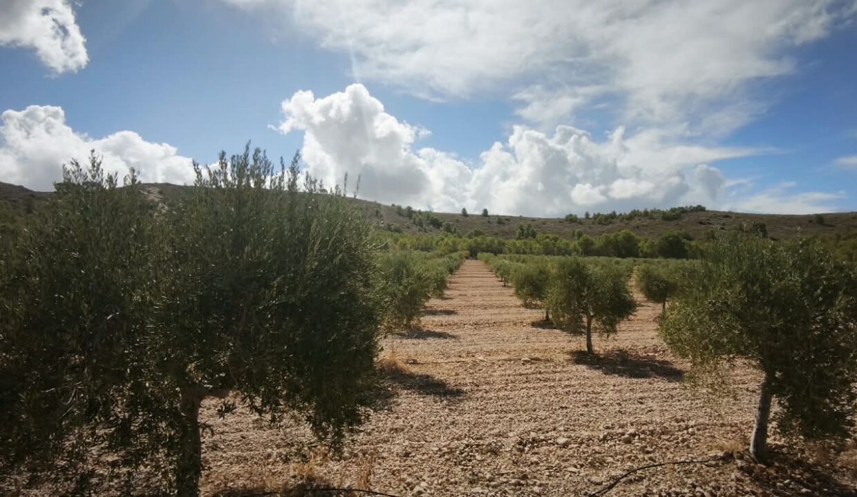 4307b984-ddfe-4213-9311-019017c22d7c